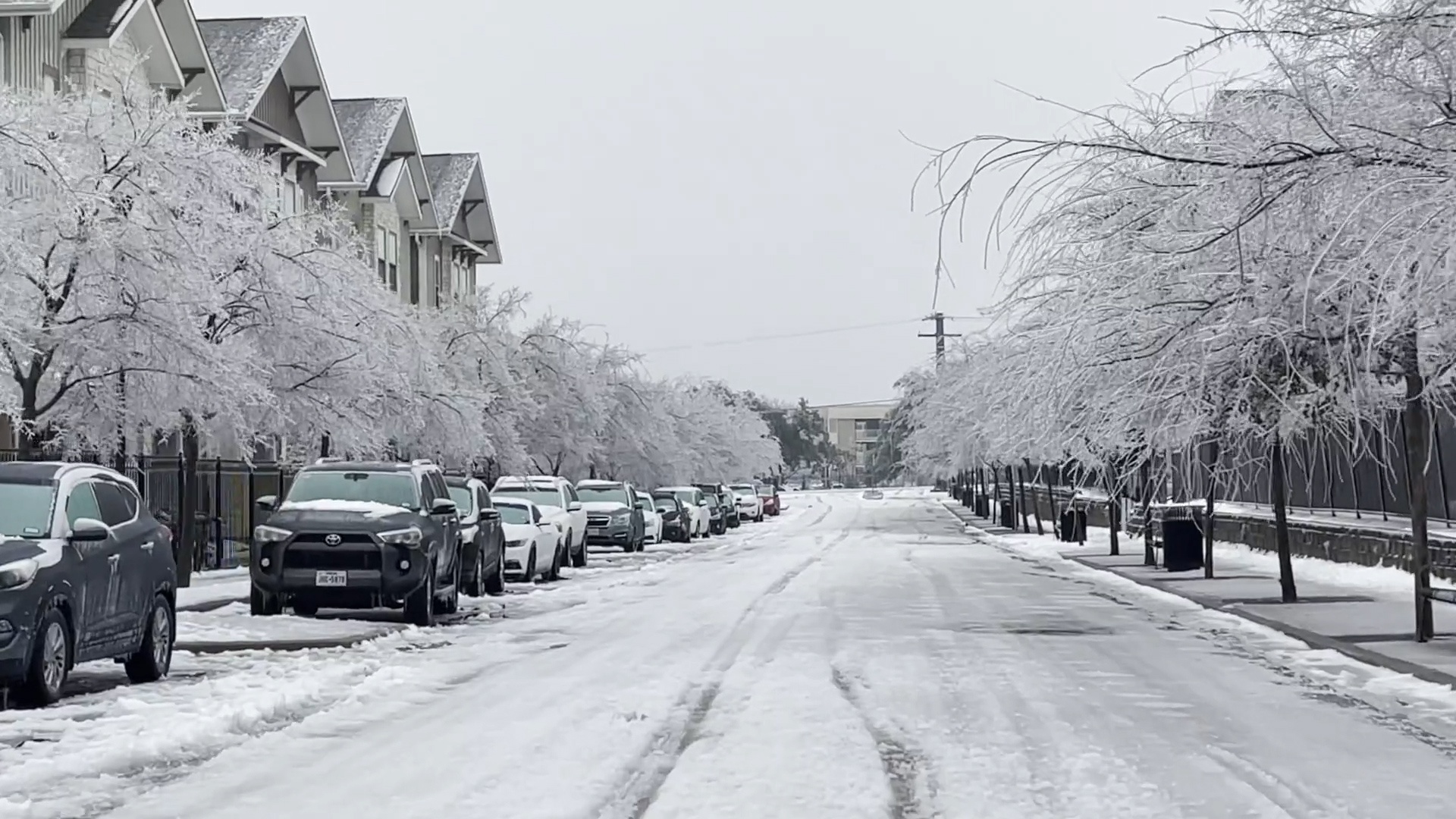 Van vat bi dong bang o Texas trong dot ret ky luc hinh anh