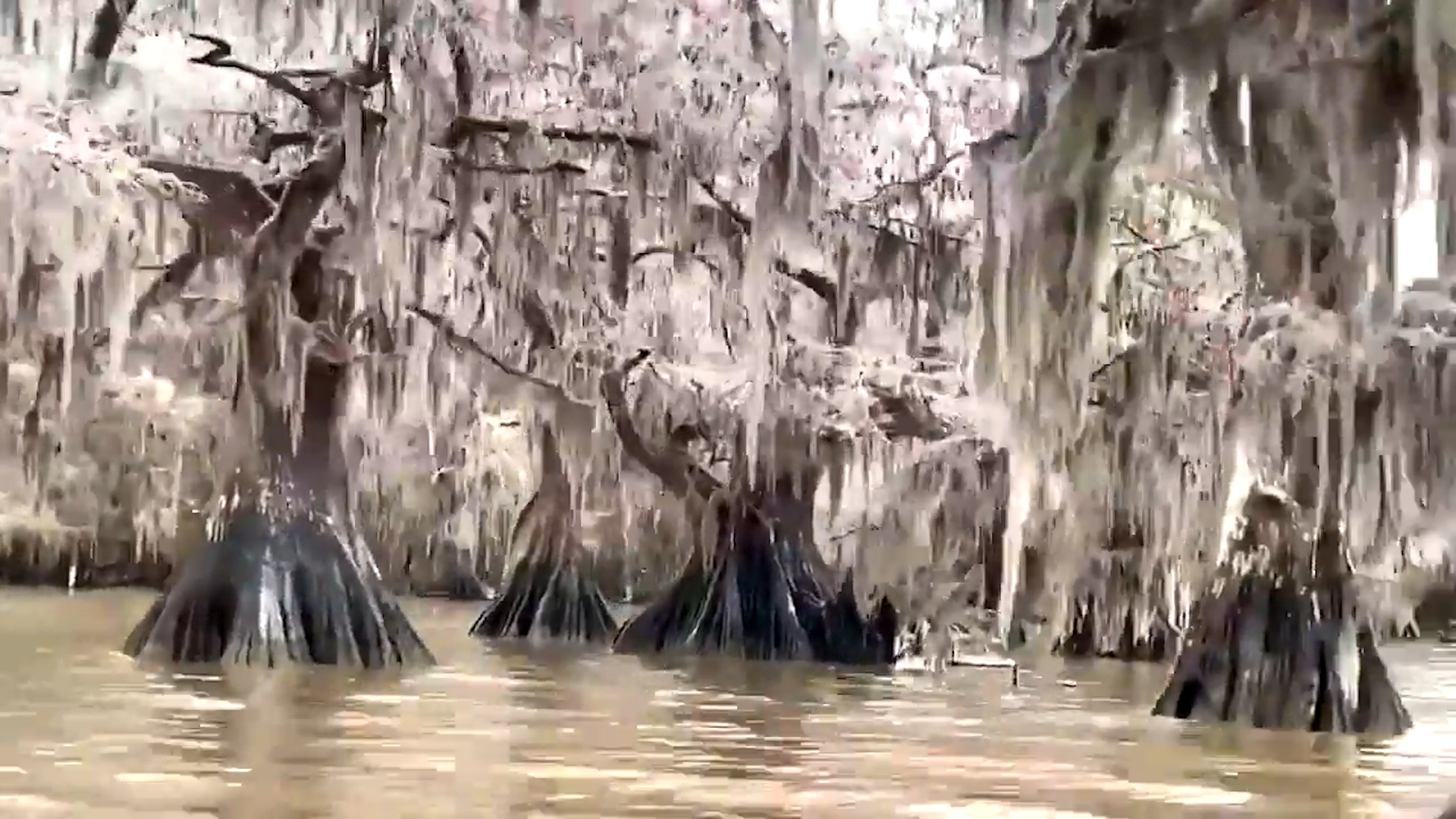 Khu rung nuoc dong bang ky ao nhu phim 'Frozen' o My hinh anh