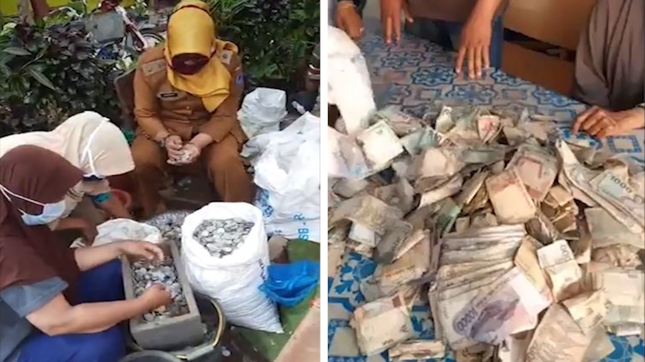 Cu ong Indonesia danh dum 9 bao tai tien le sau 50 nam hinh anh