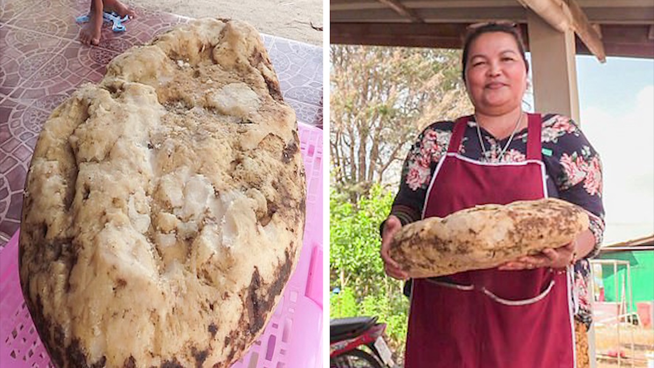 Nguoi phu nu tim thay vat the nghi la Long Dien Huong hinh anh