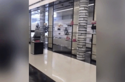 Nhom nguoi co vu trang cuop cua hang Chanel hinh anh