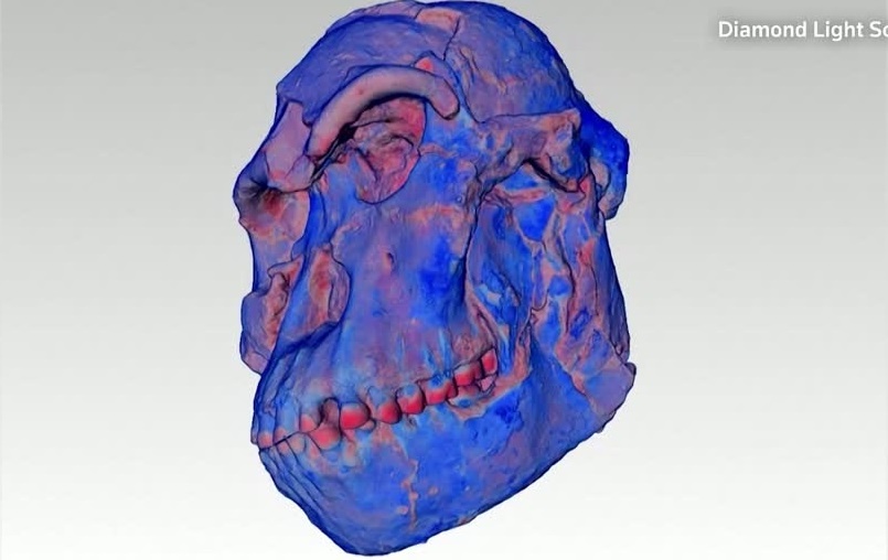 Ban quet he lo bi an ve hoa thach vuon nguoi hon 3,6 trieu nam truoc hinh anh