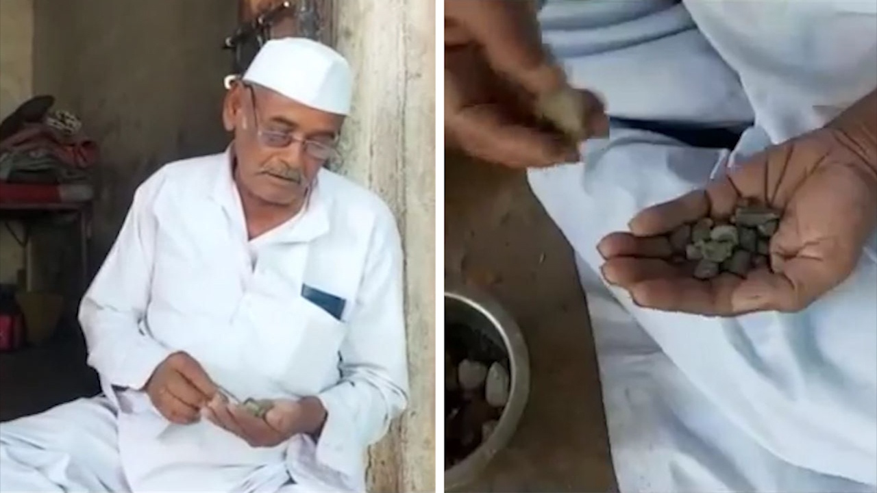 Cu ong An Do co so thich an da moi ngay hinh anh