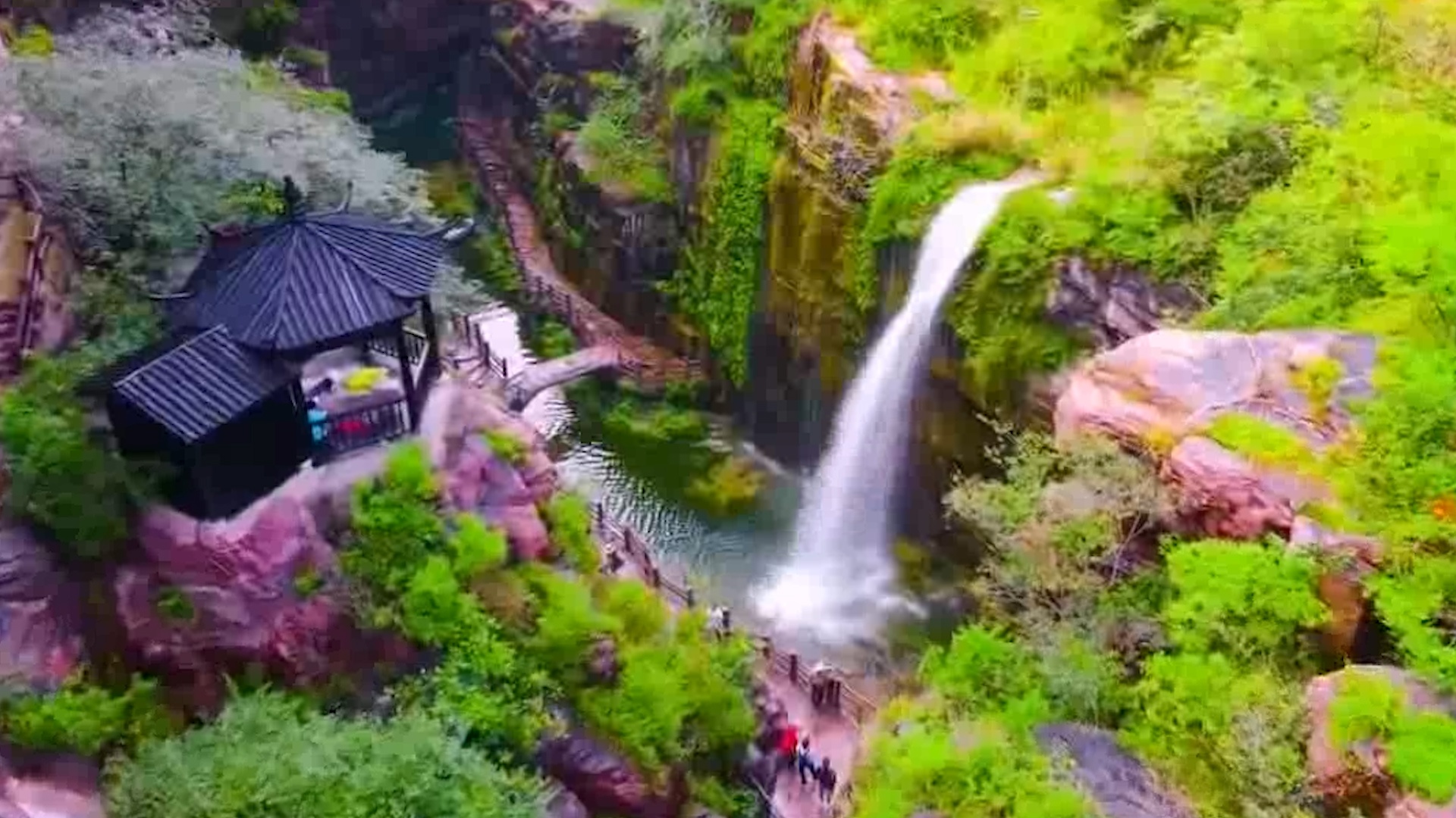 Khu rung nguyen sinh nhu xu than tien o Trung Quoc hinh anh