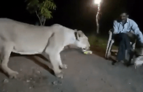 Nhom nguoi An Do bi ket an tu vi treu gheo su tu hinh anh