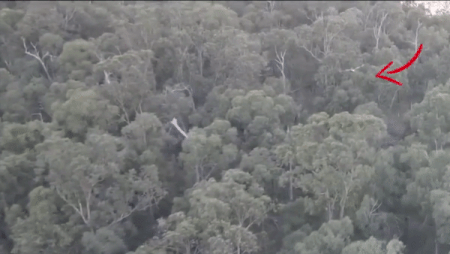 Dai bang suyt va trung drone giua khong trung hinh anh