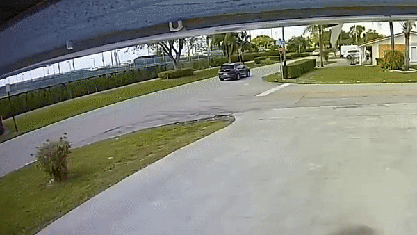 May bay dam trung oto o My hinh anh