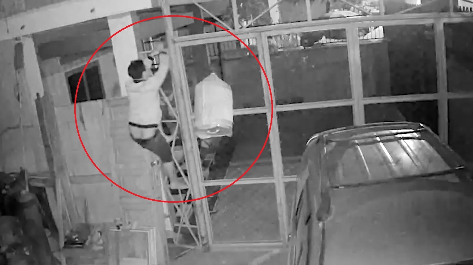 Dot nhap tu gia trom chim canh hinh anh