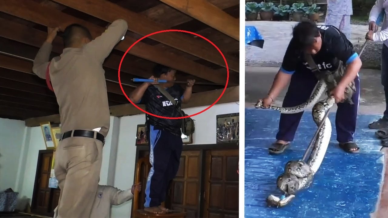 Canh sat bat tran khong lo tren mai nha hinh anh