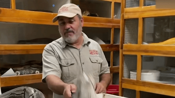 Nguoi dan ong suyt bi con tran khong lo can trung mat hinh anh