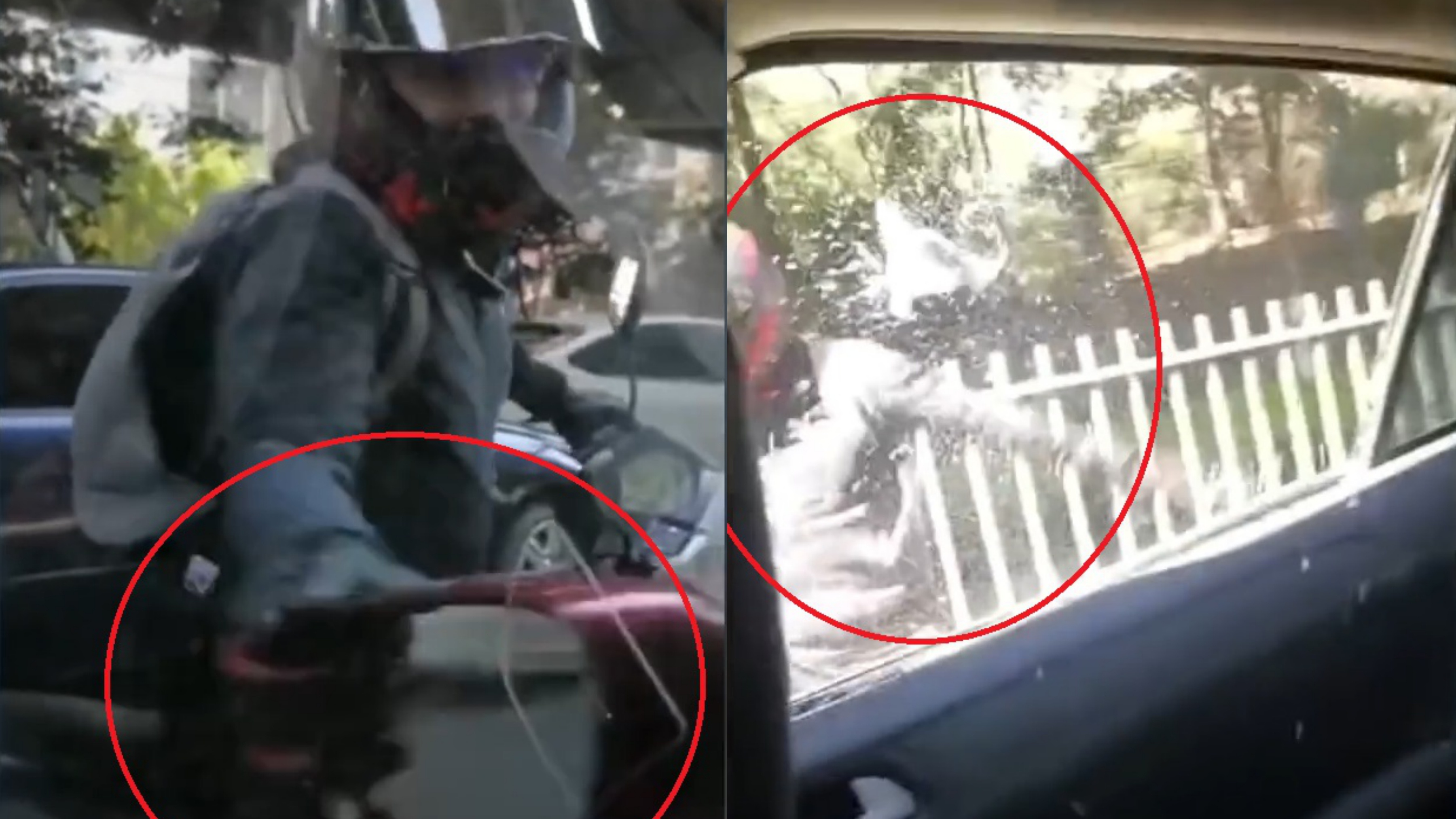 Nguoi lai xe may dap vo kinh oto vi kho chiu tieng coi hinh anh