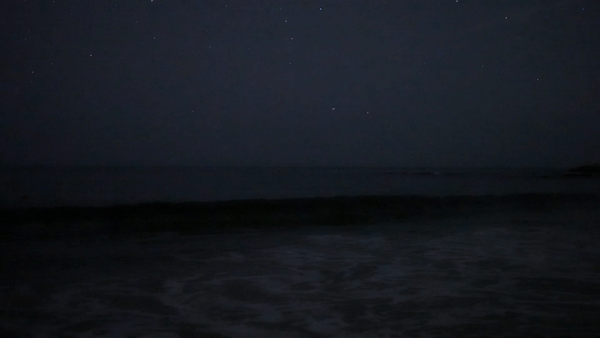 Nhung con song phat sang tai bai bien o My hinh anh