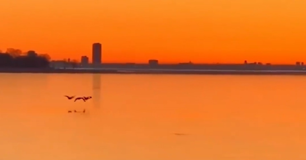 Chim bay qua ho dong bang o Canada hinh anh