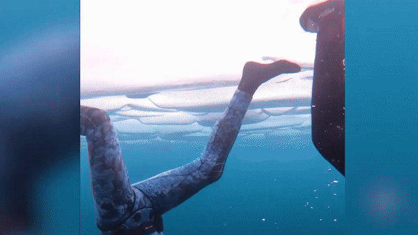 Tran dau bong da duoi ho nuoc dong bang o Nga hinh anh