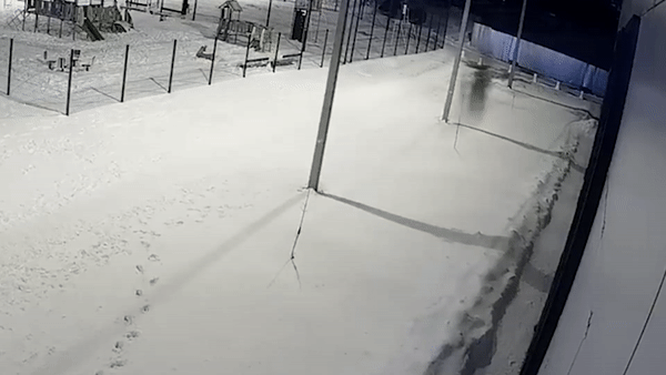 Be 5 tuoi song sot khi roi tu tang 12 hinh anh