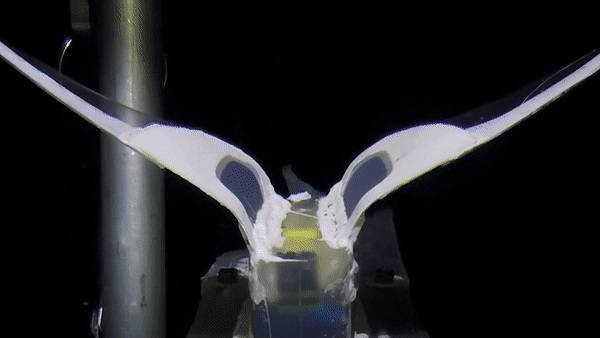 Robot mem co the kham pha noi sau nhat the gioi hinh anh