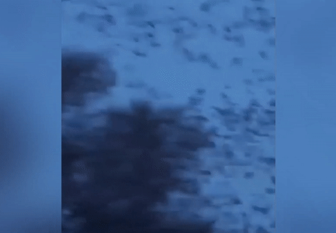 Nua trieu con seu di cu qua bau troi cua My hinh anh