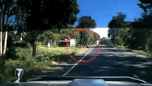 Xe may qua duong au suyt bi oto dam trung hinh anh