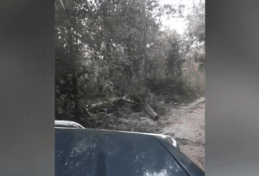 Oto 'dung do' voi khi di chuyen tren duong lang hinh anh