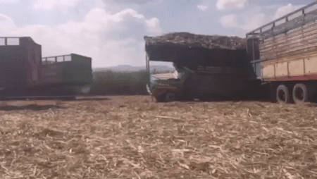 Xe tai cho mia bi lat nghieng khi chay tren duong dat hinh anh