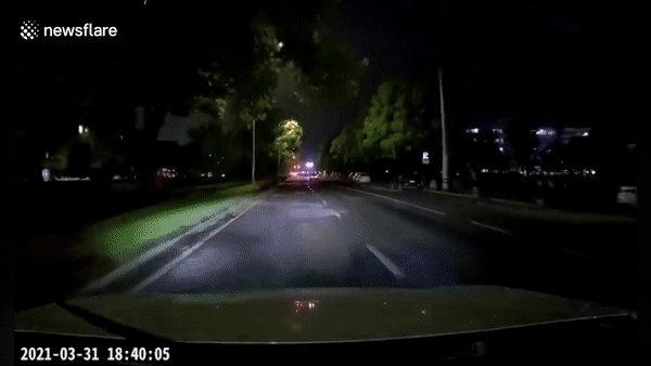 Set danh trung duong day dien cao the hinh anh