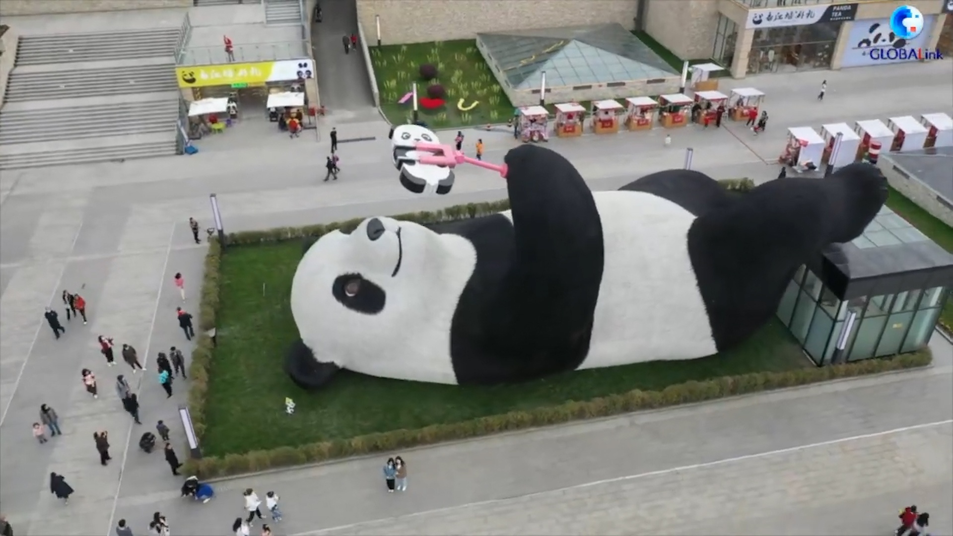 Buc tuong 'gau truc selfie' khong lo o Trung Quoc hinh anh