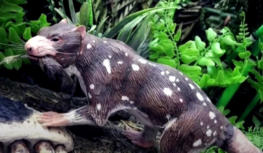 Khai quat hoa thach dong vat song cach day 74 trieu nam hinh anh