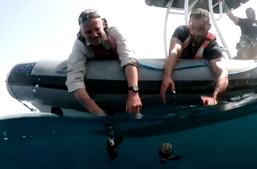 Tha rua tro lai bien sau vu tran dau hinh anh