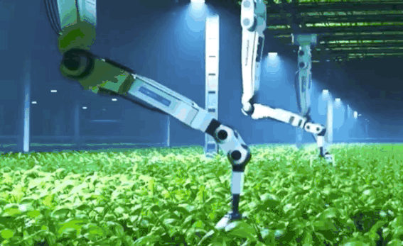 Tuong lai robot se cham cay trong thay con nguoi hinh anh