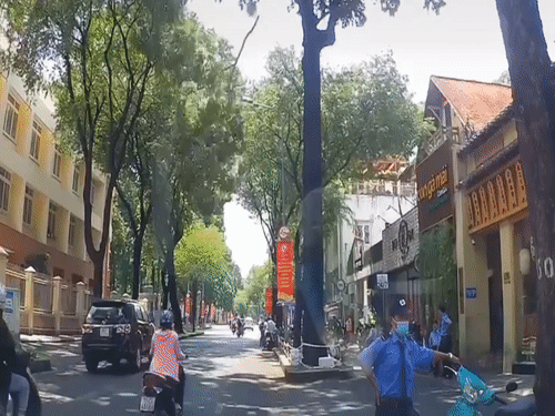 Canh cay roi giua duong gay tai nan cho xe may o TP.HCM hinh anh