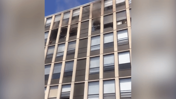 Meo nhay tu cua so tang 5 de thoat khoi toa nha chay hinh anh