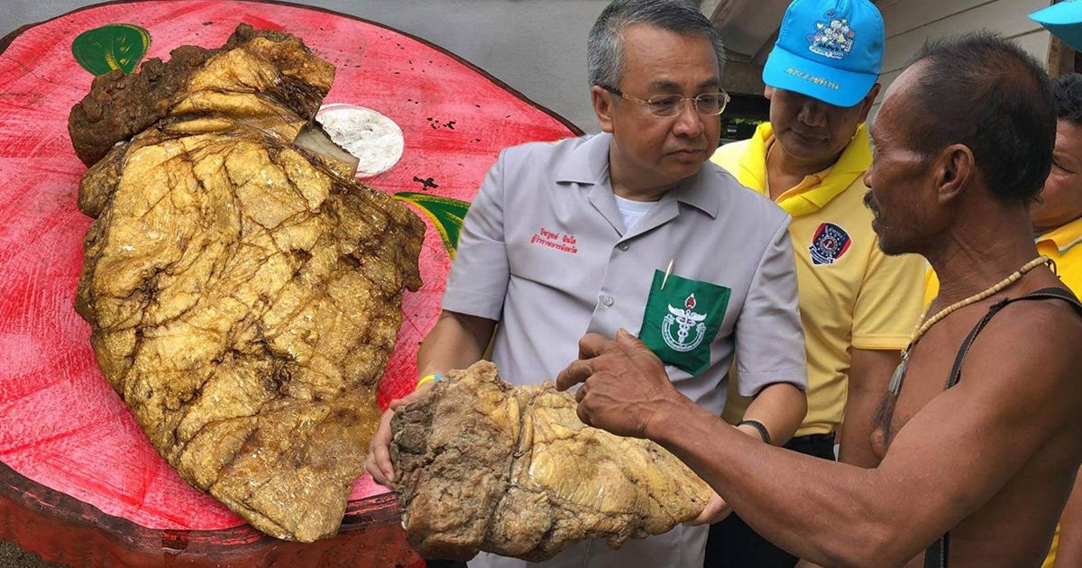 Tim thay Long Dien Huong 1,5 trieu USD trong bung xac ca nha tang hinh anh