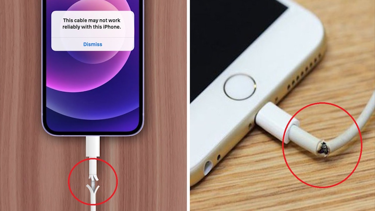 Vi sao day sac cua iPhone de bi dut? hinh anh