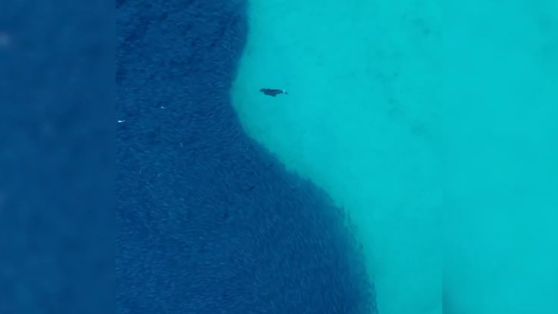 Hai cau san moi tao ra canh tuong tuyet dep o Australia hinh anh