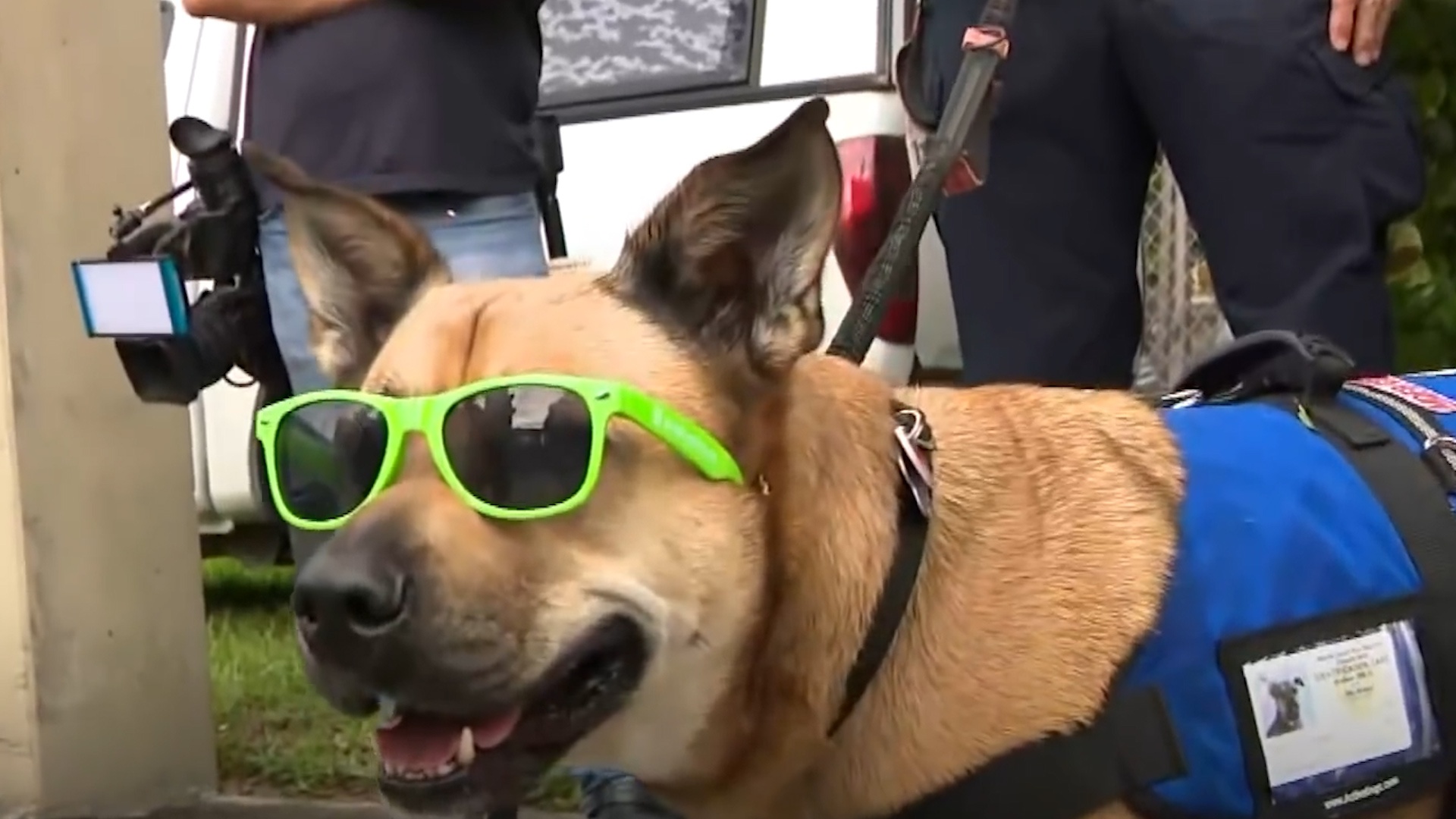 Doi cho tham gia cuu ho trong vu sap toa nha 12 tang o Florida hinh anh