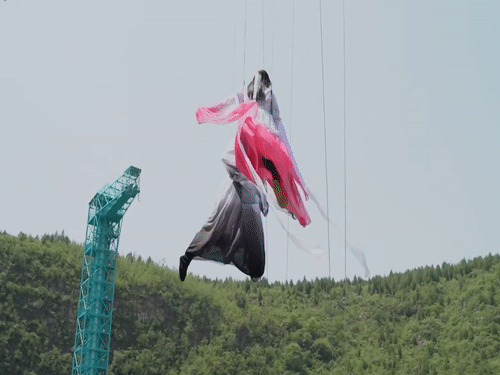 Khu du lich cho du khach bay nhu trong phim kung fu hinh anh