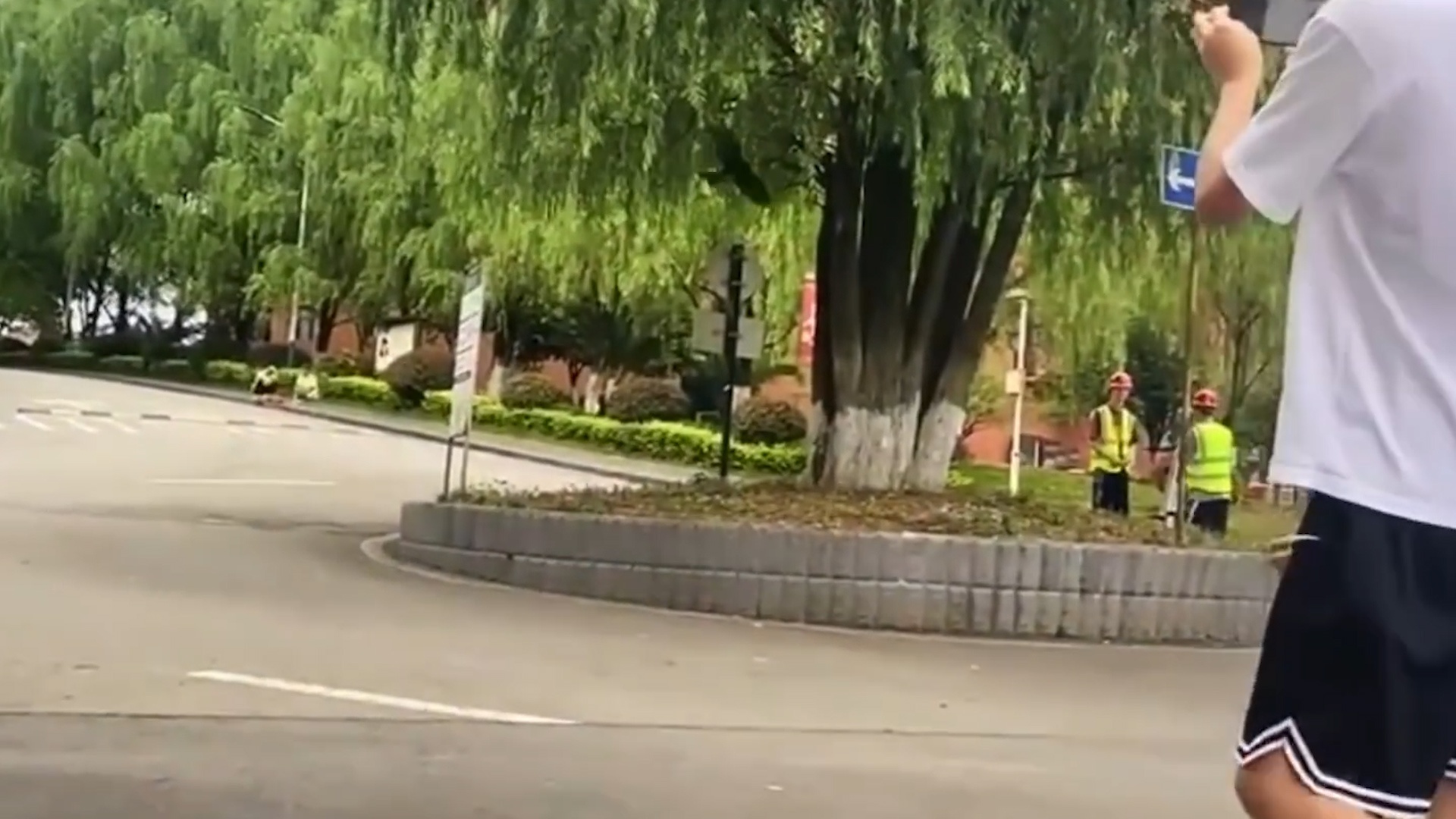 Con chim ky la chi tan cong dan ong tai Trung Quoc hinh anh