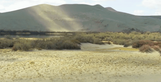 Luot van tren con cat cao nhat Bac My hinh anh