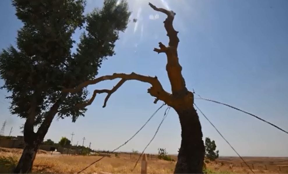 Dong dinh vao cay cau may man o Iraq hinh anh