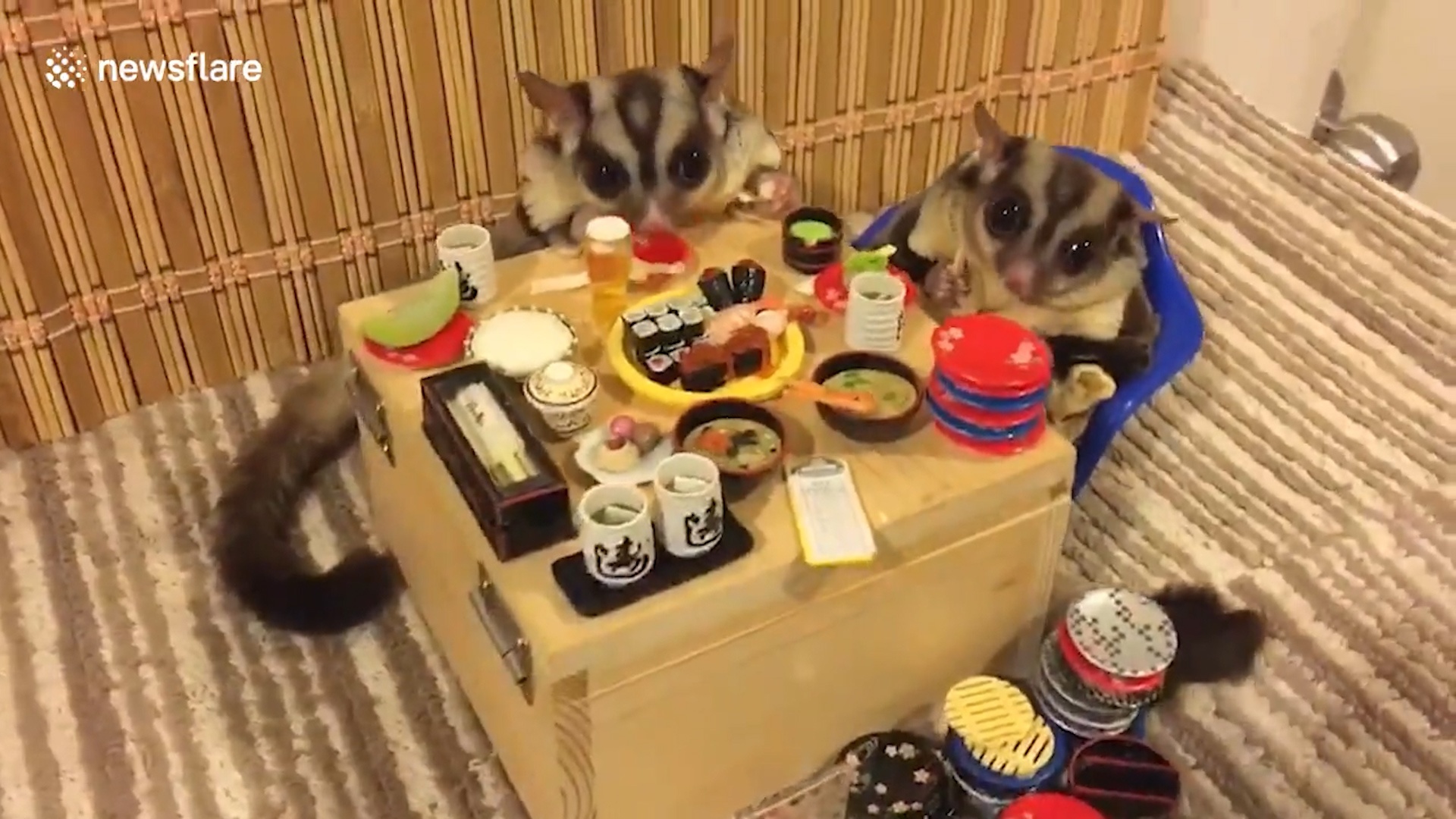 Khoanh khac 2 chu soc bay ngoi an trong nha hang thu nho hinh anh