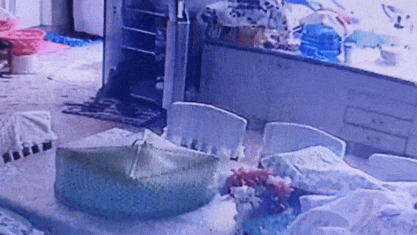 Khi ngang nhien mo tu de trom do an o Thai Lan hinh anh