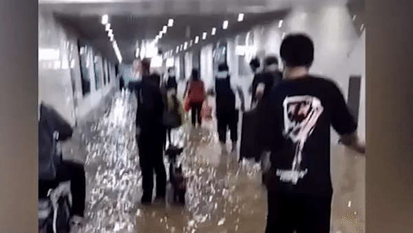 Ga tau dien ngam ngap, dan loi nuoc di lam o Trung Quoc hinh anh