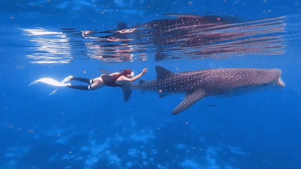 Nu tho lan boi cung dan ca map voi o Philippines hinh anh