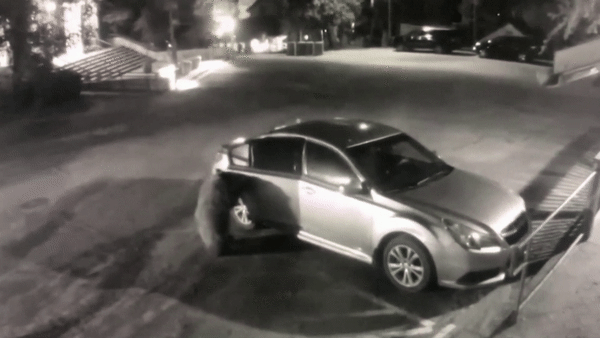 Chu gau mo cua luc loi oto o My hinh anh