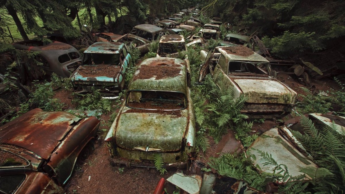 Nhung bai phe lieu xe an tuong tren the gioi hinh anh