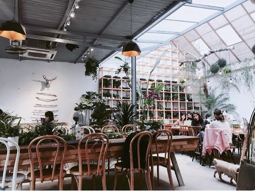 Ca phe Ha Noi anh 12