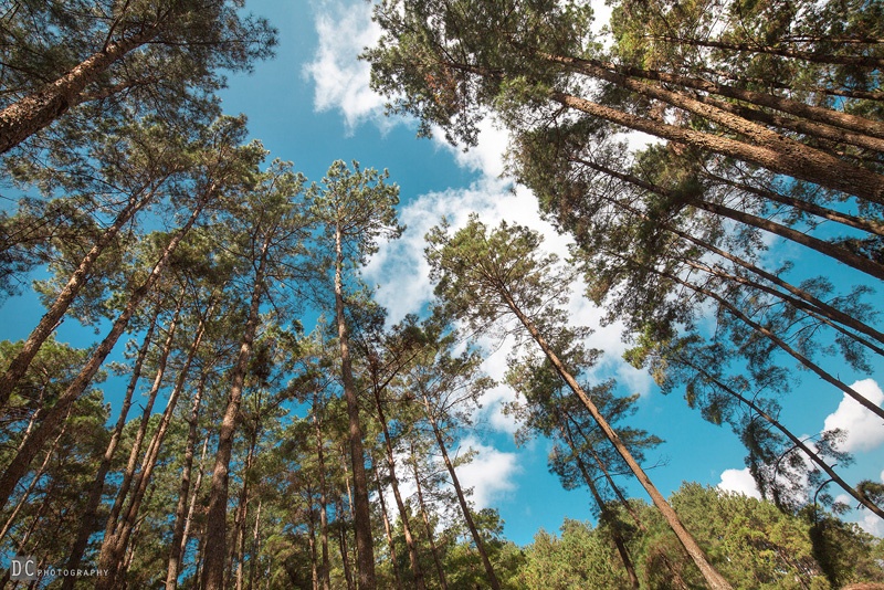 Ha Giang,  du lich,  phuot anh 6