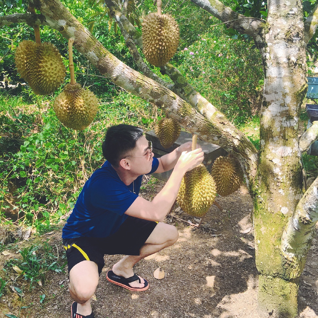 Du lich mien Tay anh 16