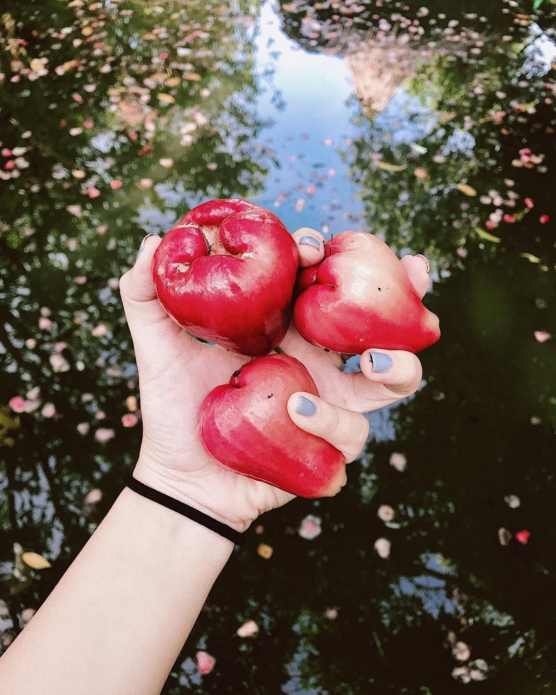 Du lich mien Tay anh 17