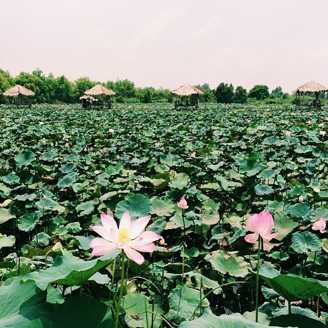 Du lich mien Tay anh 13